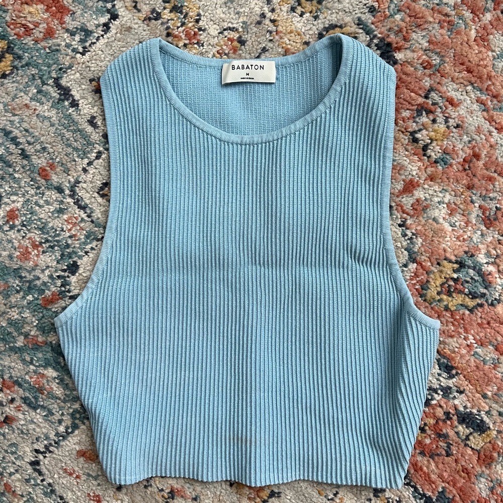 Aritzia Top